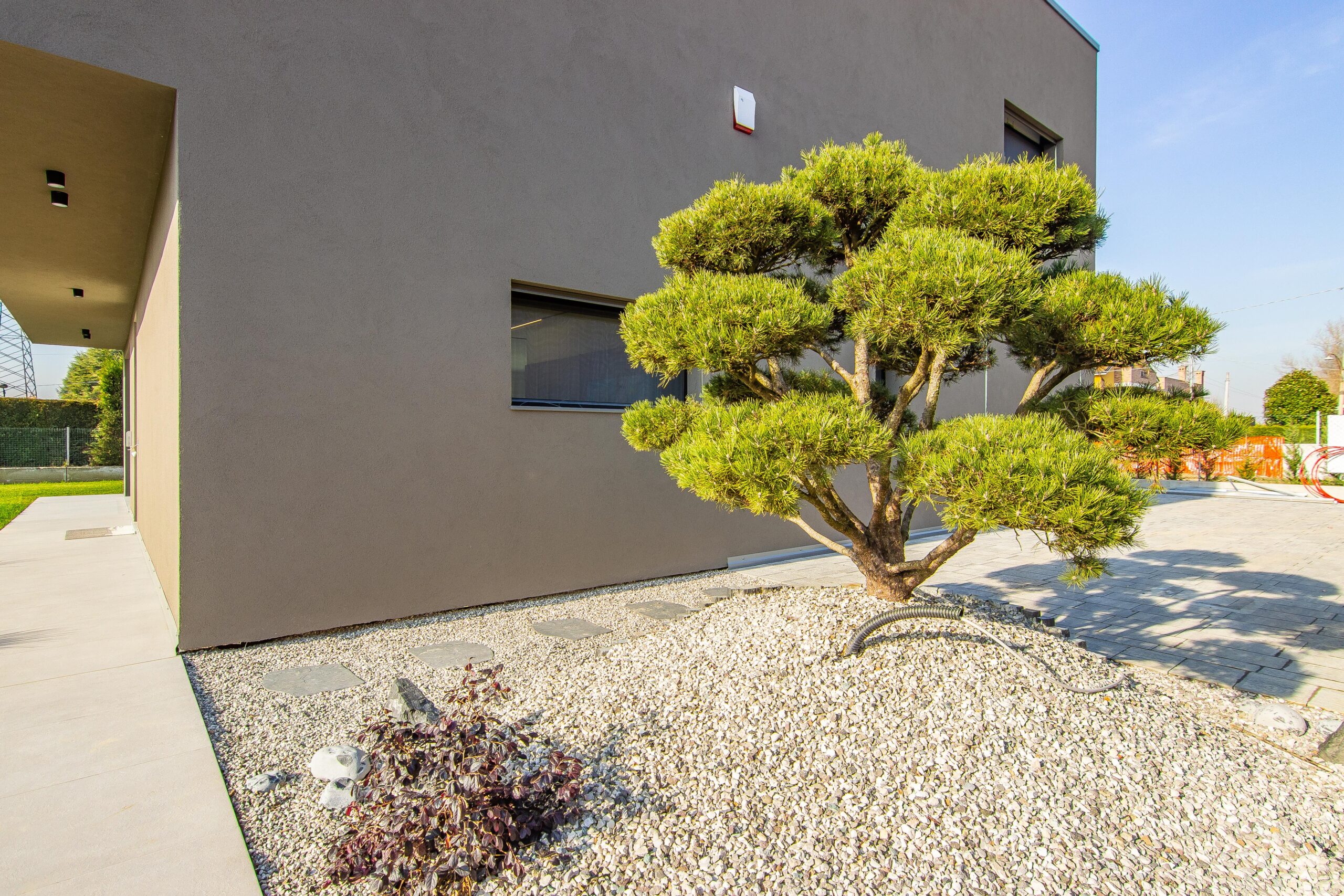 Foto Particolare Esterno 